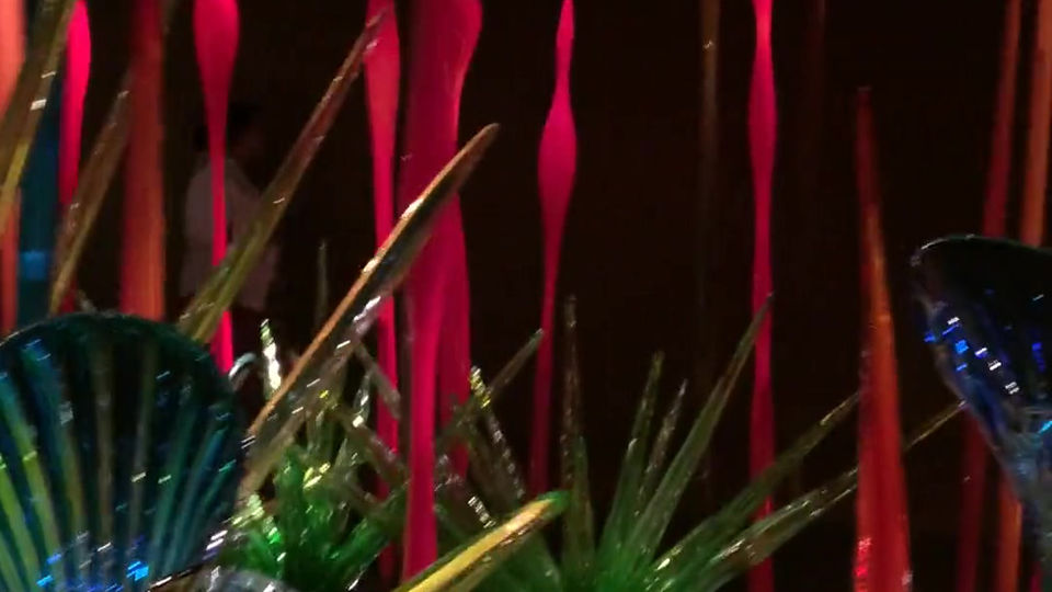 Chihuly Gardens & Glass